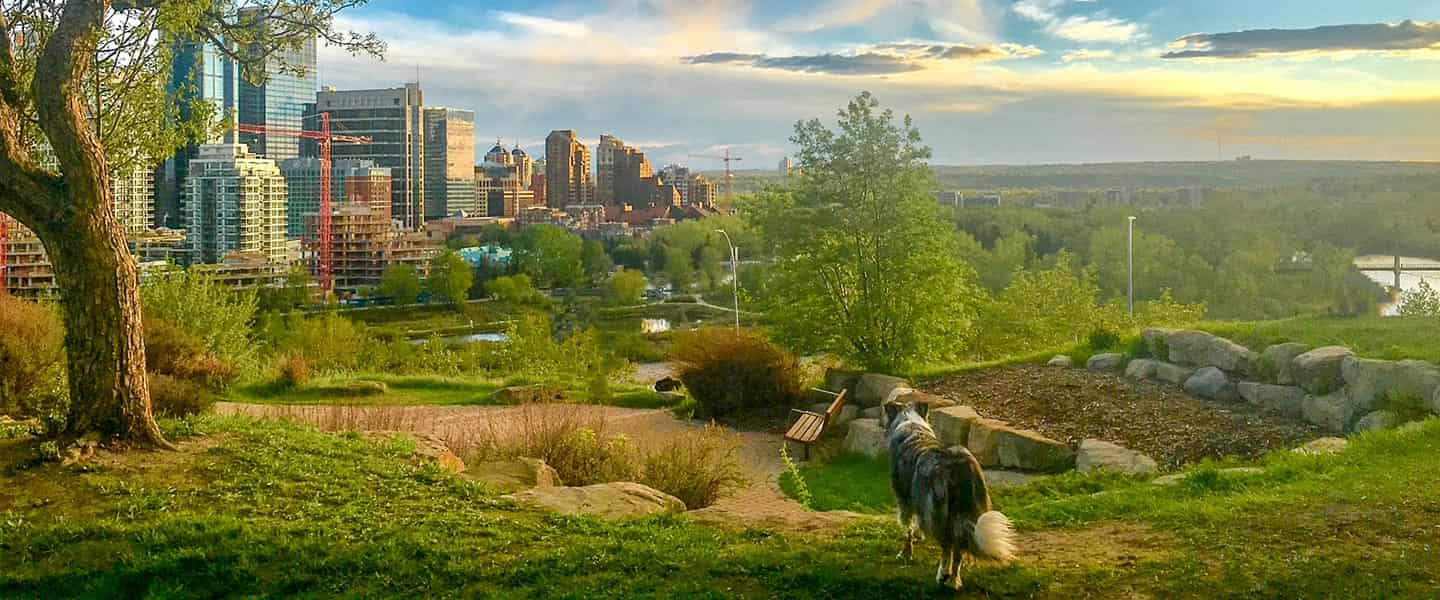 Let's Go Outside - Calgary, Alberta