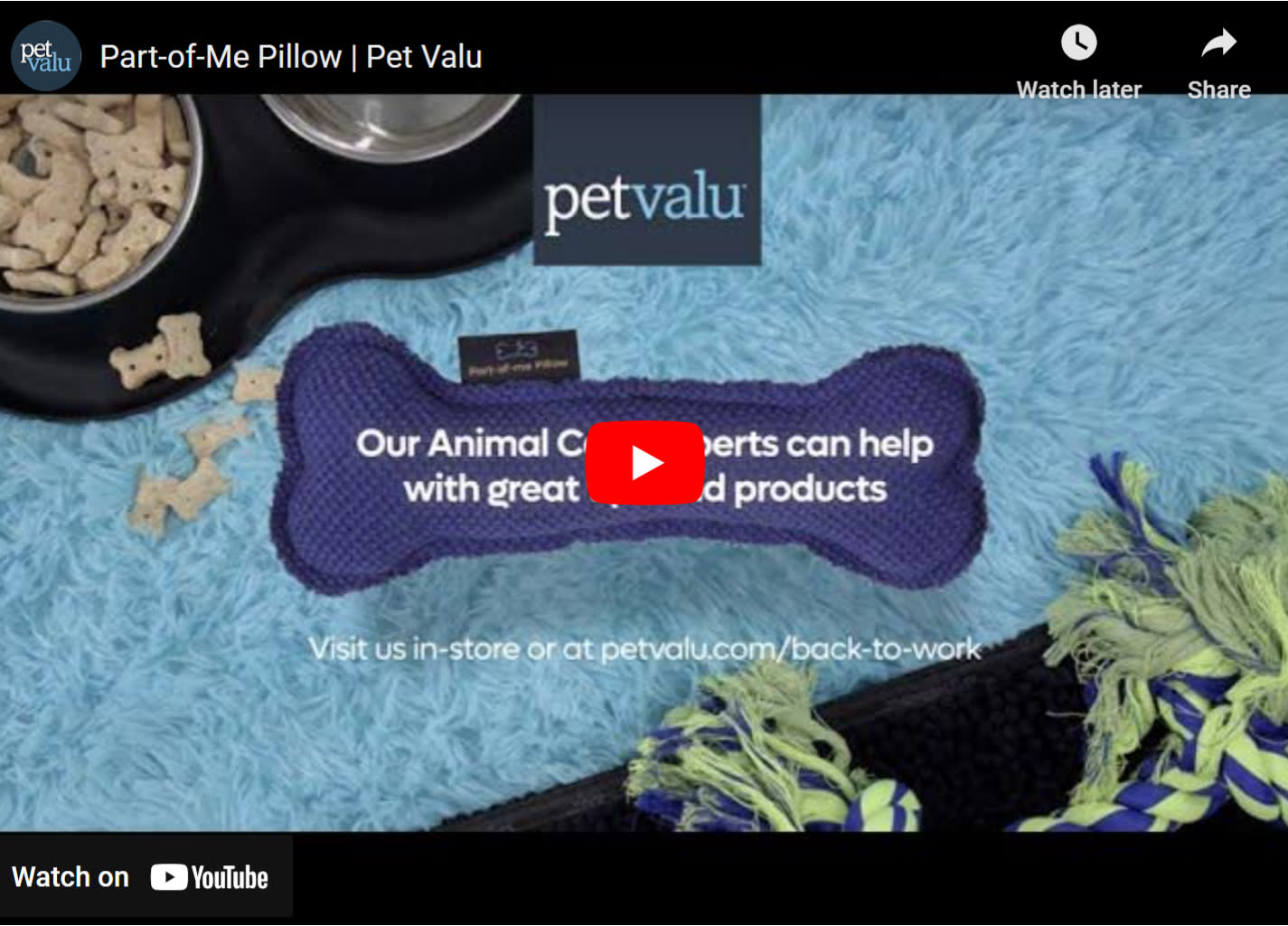 Pet Valu part of Me Pillow Youtube Video