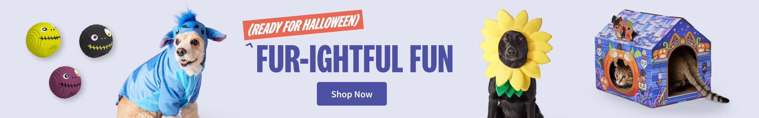 Halloween Banner