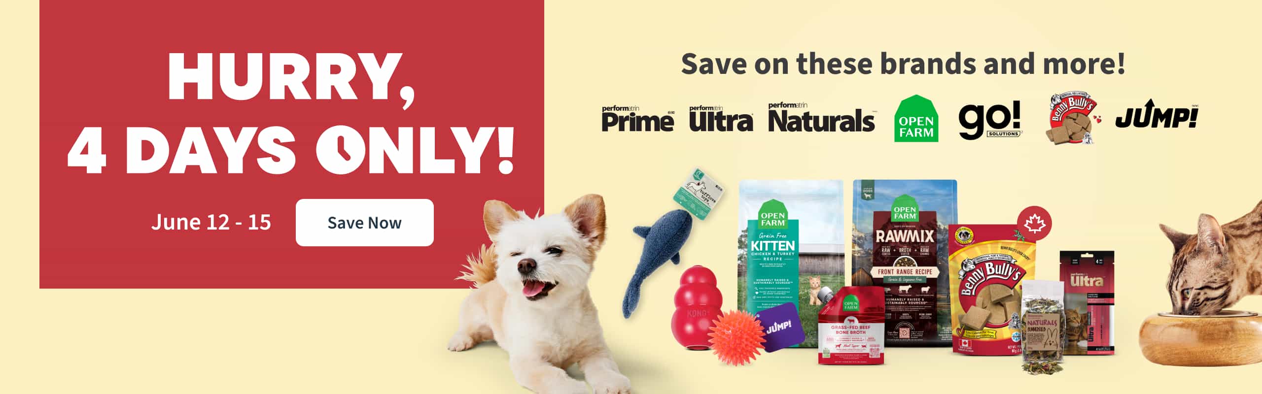 4 day Sale