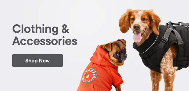 Dog clothing accessories best sale