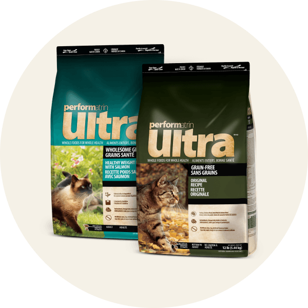 Dry Cat Food