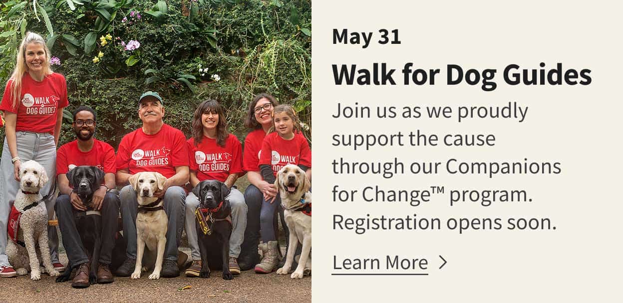 Companions for change program