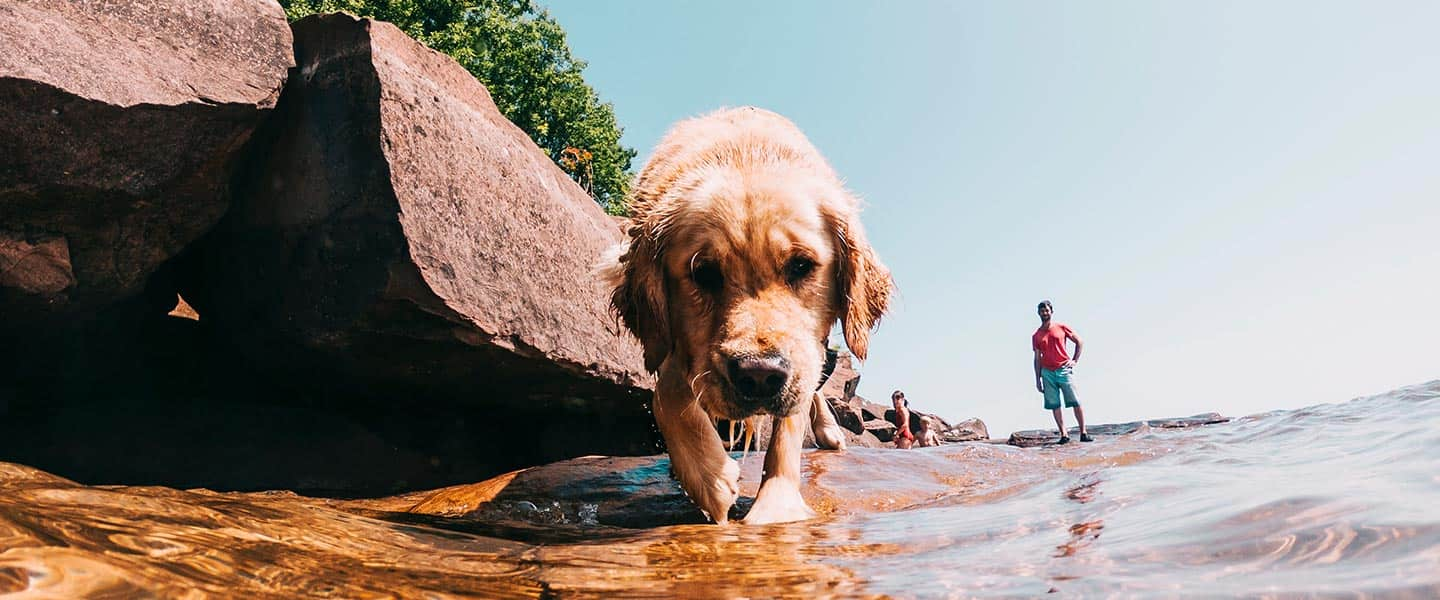 Let's Go Outside - The Great Lakes, Ontario