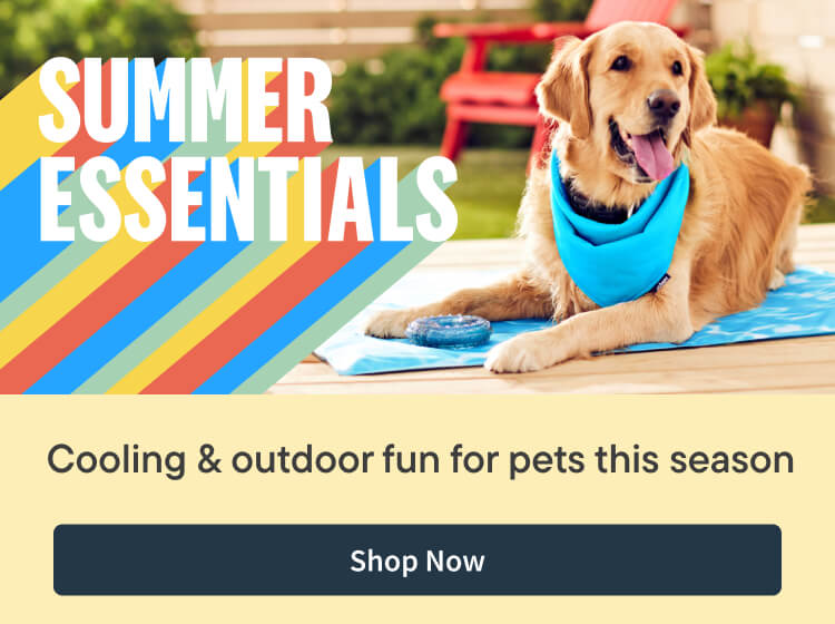 Summer Essentials, Cooling & Outdoor fun for pets this season