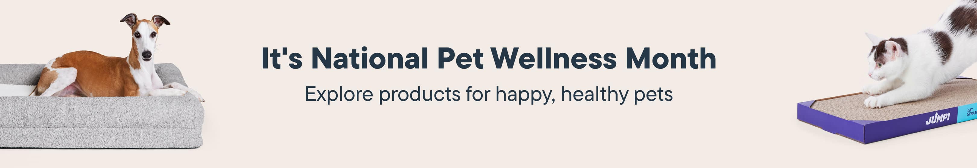 it's National Pet Wellness Month