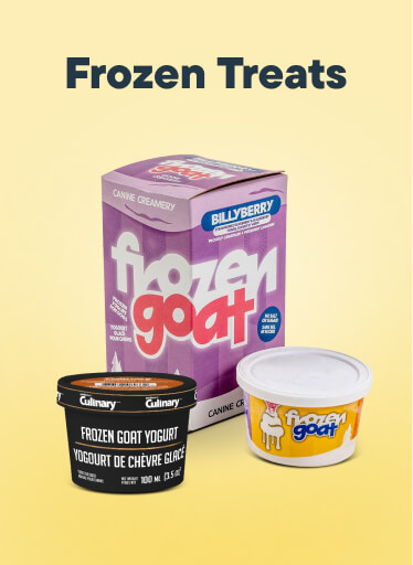 Frozen Treats