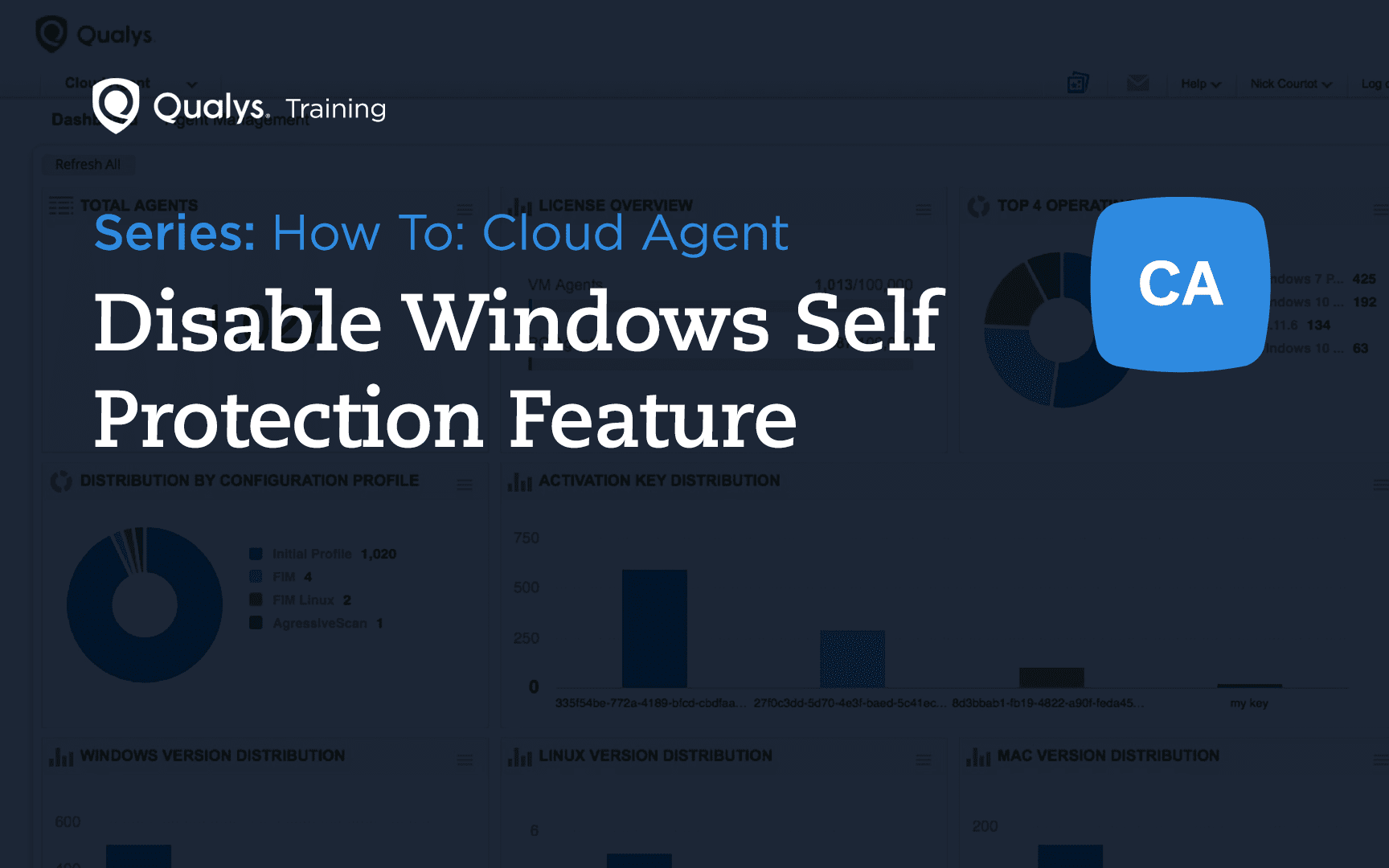 Disable Windows Self Protection Feature