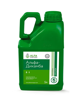 https://images.ctfassets.net/4l46ec69xy8n/2ZJ3krKb72Q70XyzazsUOI/94dc20d83b3af1978a2153385f4952d6/Альфа-Дикамба__РК2.png