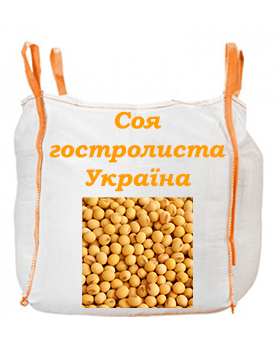 Соя гостролиста