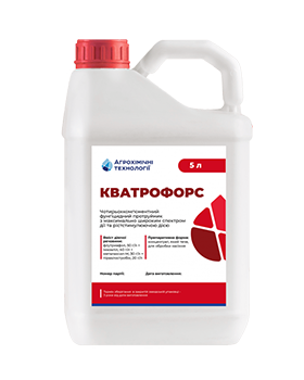 КватроФорс, ТН