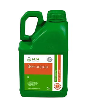 Венцедор, ТН