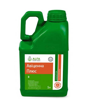 Авіценна Плюс, ТН