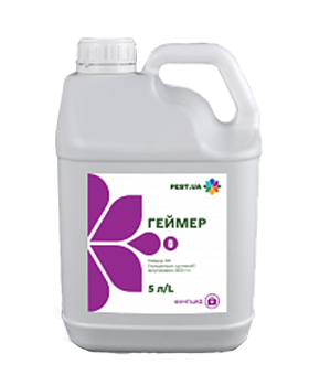 Геймер, КС