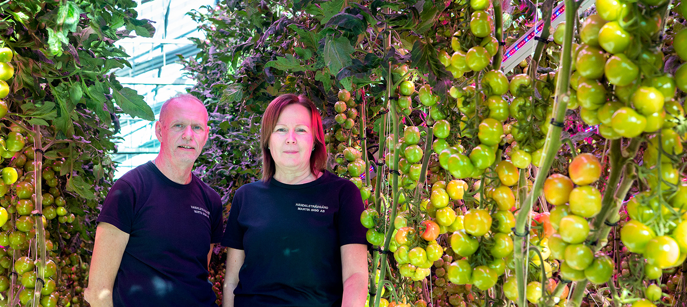 Martin och Carola Sigg | Andelslaget Närpes Grönsaker