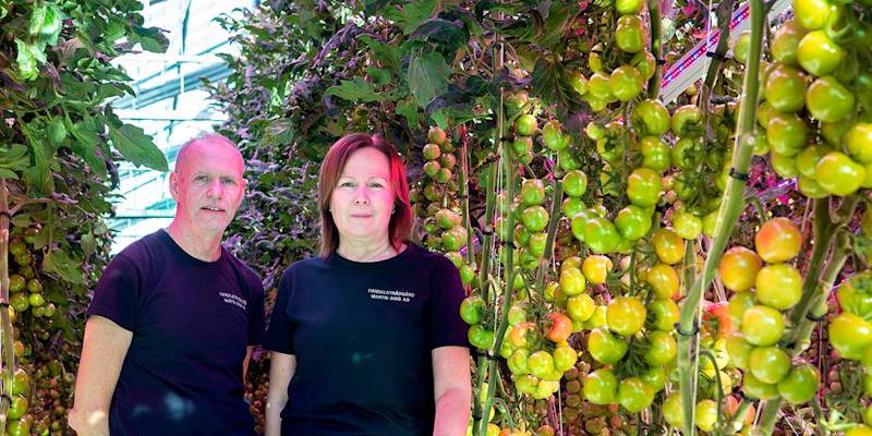 Martin och Carola Sigg | Andelslaget Närpes Grönsaker