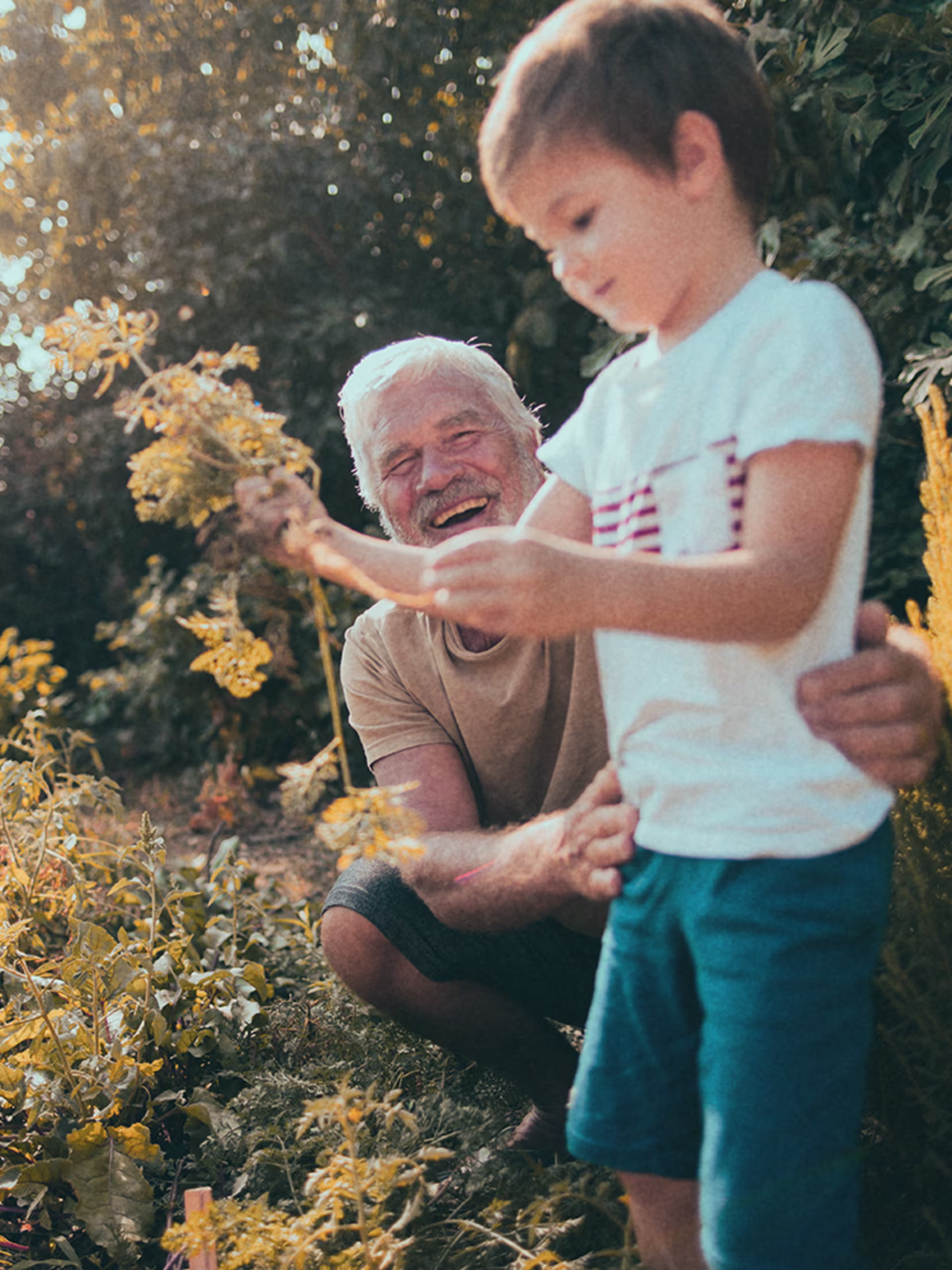 Ein älterer Mann mit grauen Haaren und Bart kniet lachend in einem sonnigen Garten neben einem kleinen Jungen, der eine Pflanze in der Hand hält. Umgeben sind sie von grüner Vegetation und gelb blühenden Pflanzen, in warmem, spätsommerlichem Licht.