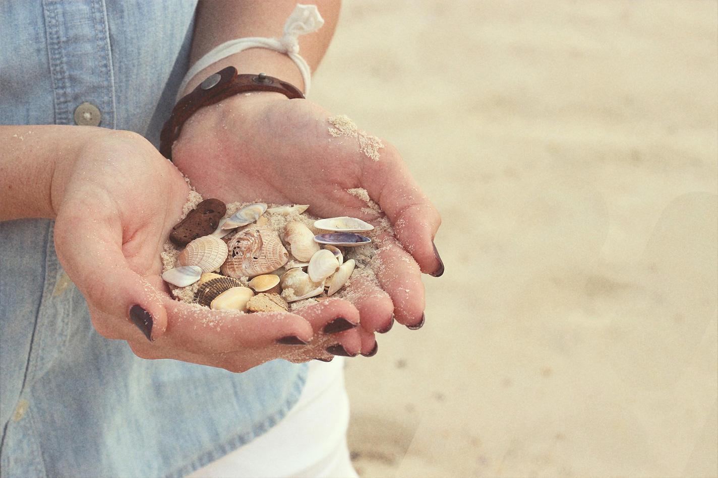Person hält Sand und Muscheln in ihren Händen am Strand.