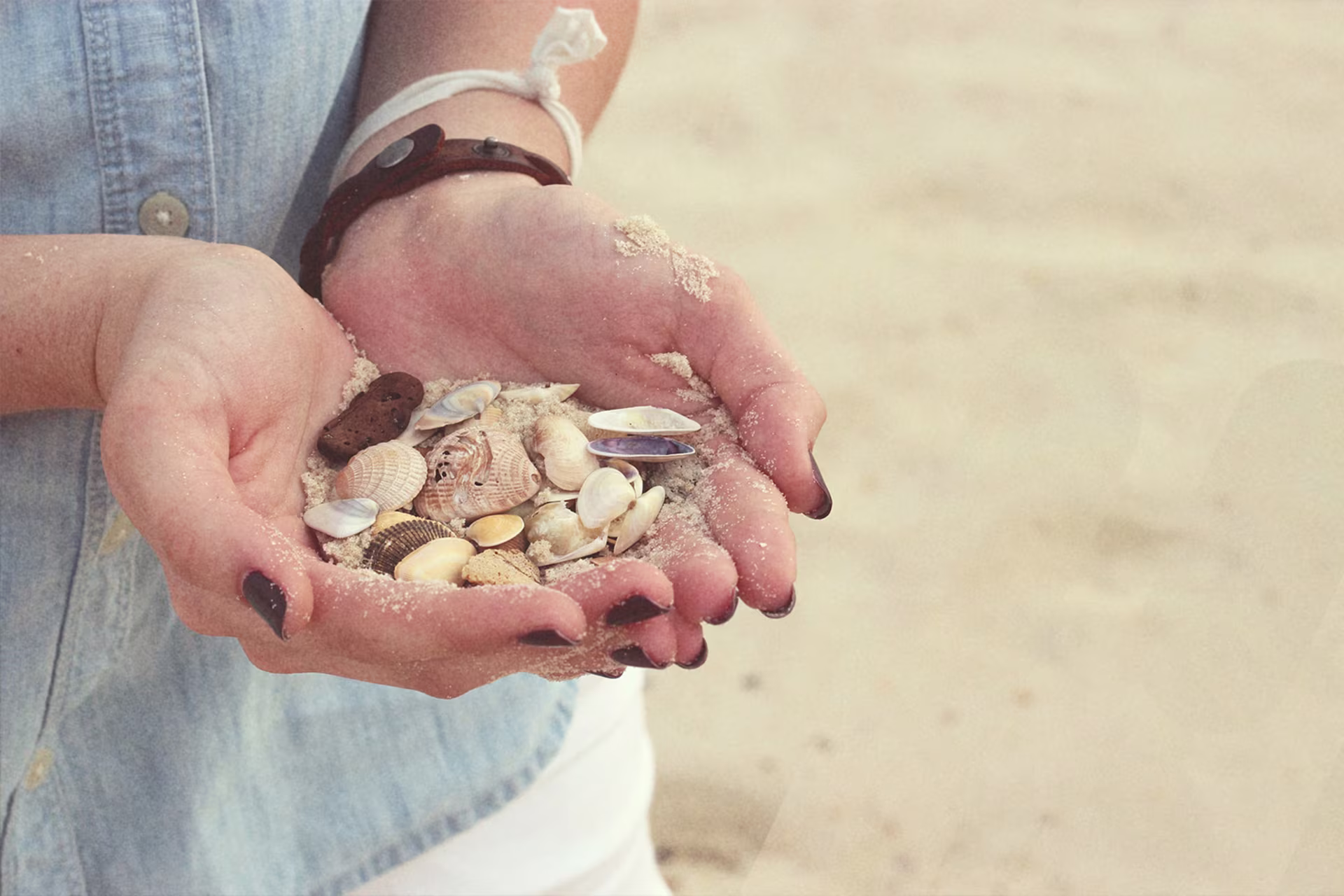 Person hält Sand und Muscheln in ihren Händen am Strand.
