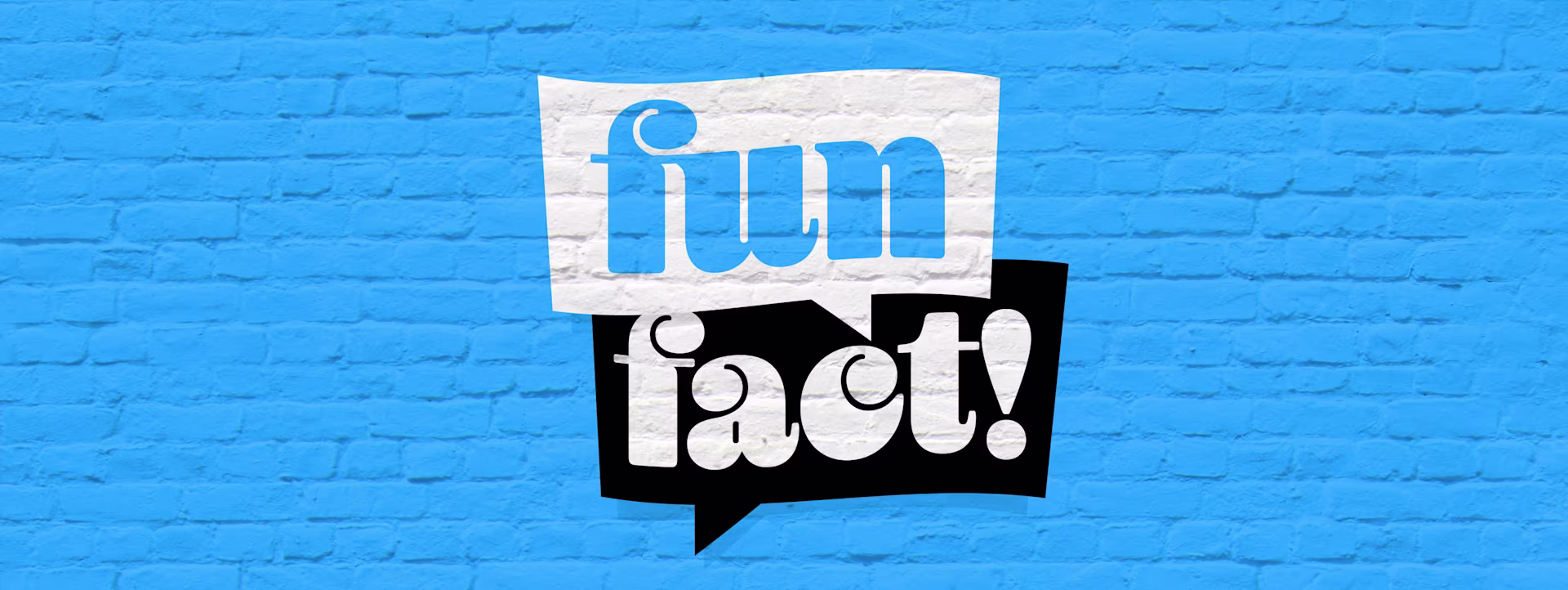 Graffiti auf Wand mit der Aufschrift "funfact!"