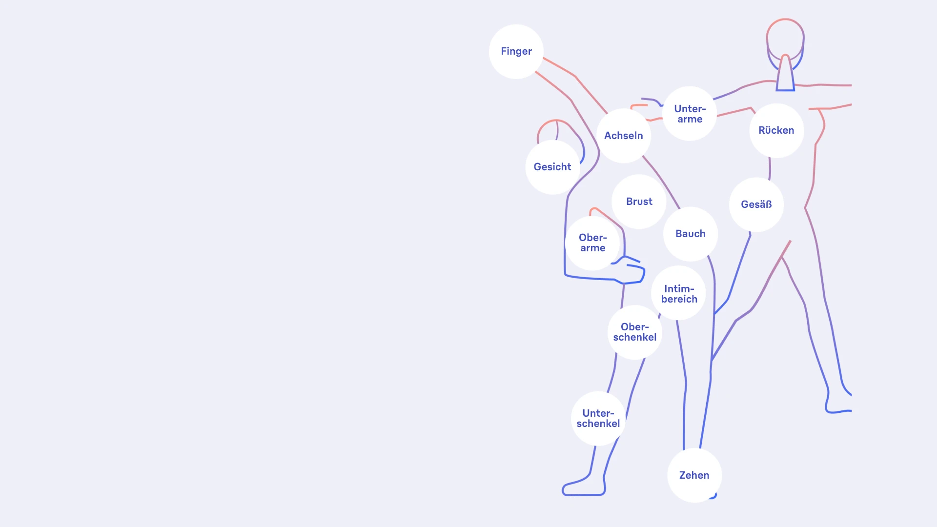 Grafik mit Angabe aller Körperpartien, an denen IPL angewendet werden kann