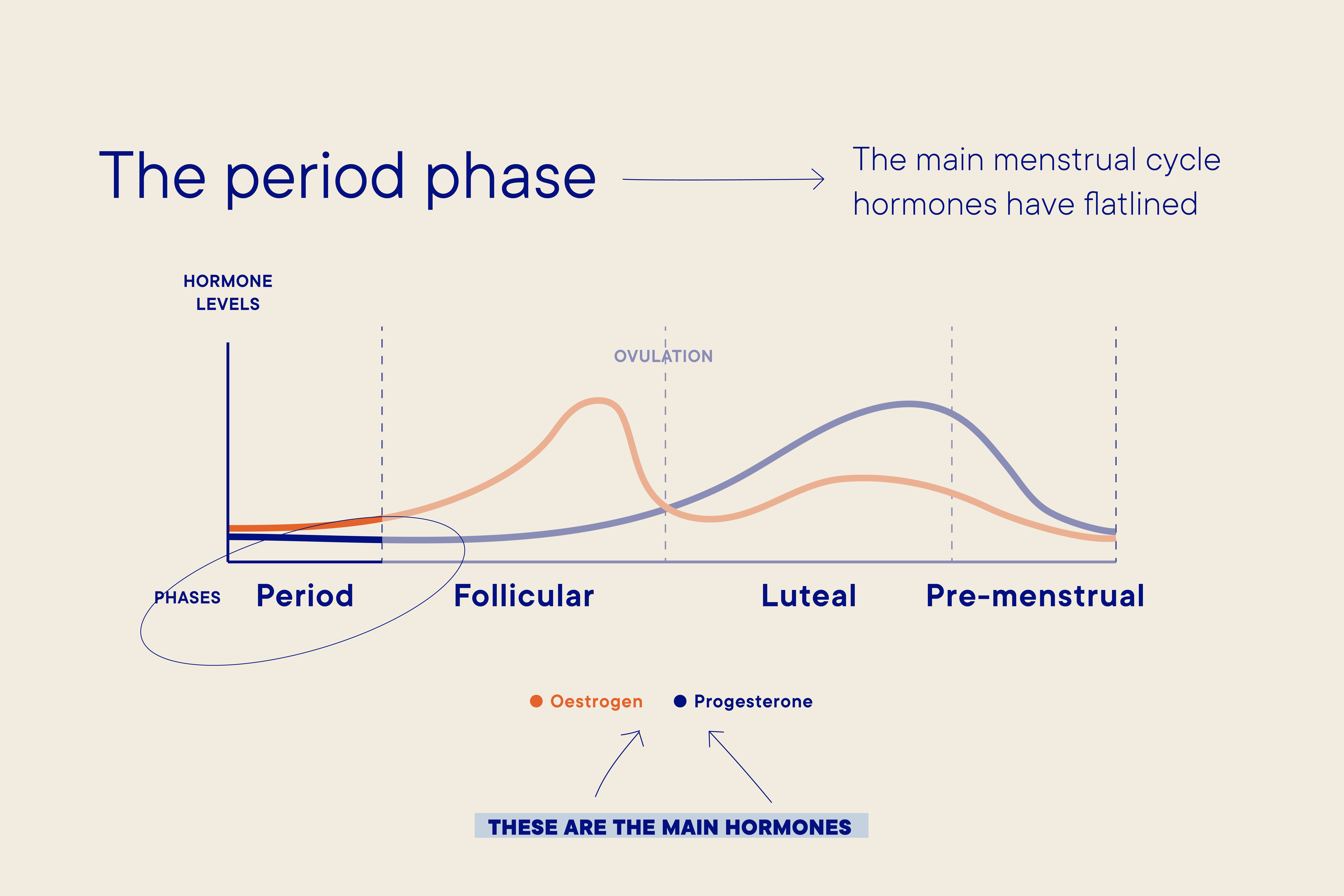 Period Phase