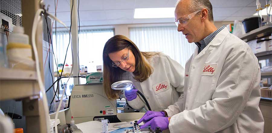 two scientists pointing at slides in the lab under microscope