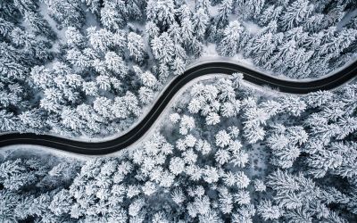 A road winds through a snowy forest