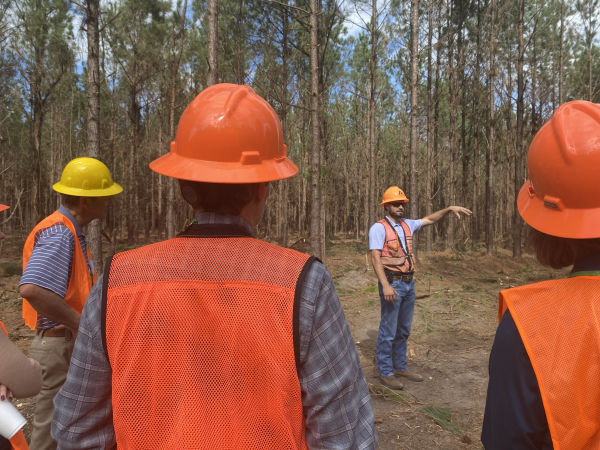 Foresters in the Woods