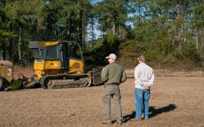 Forestry professionals oversee the planting of loblolly pine on Mitch Cliett's property.