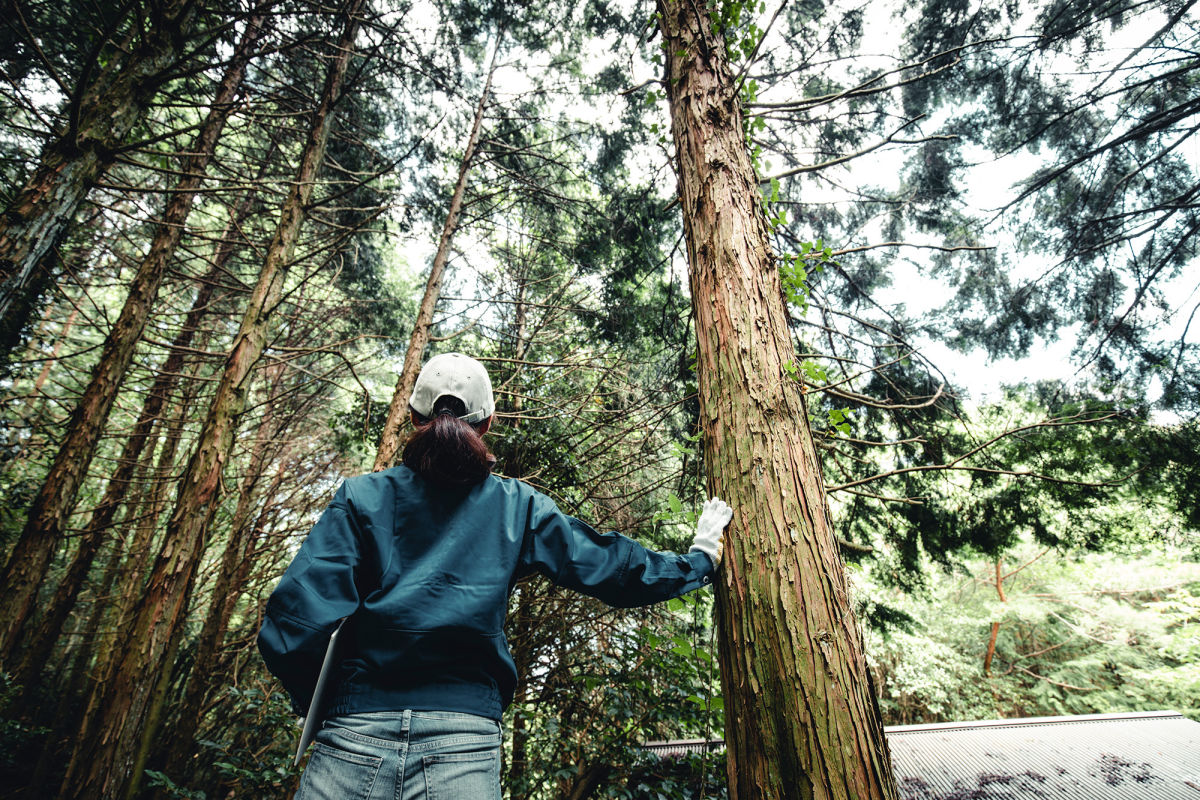 A person in a forest facing away from the camera with their hand on a tree trunk.