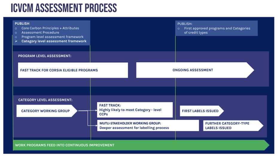 ICVCM Release Assessment Process