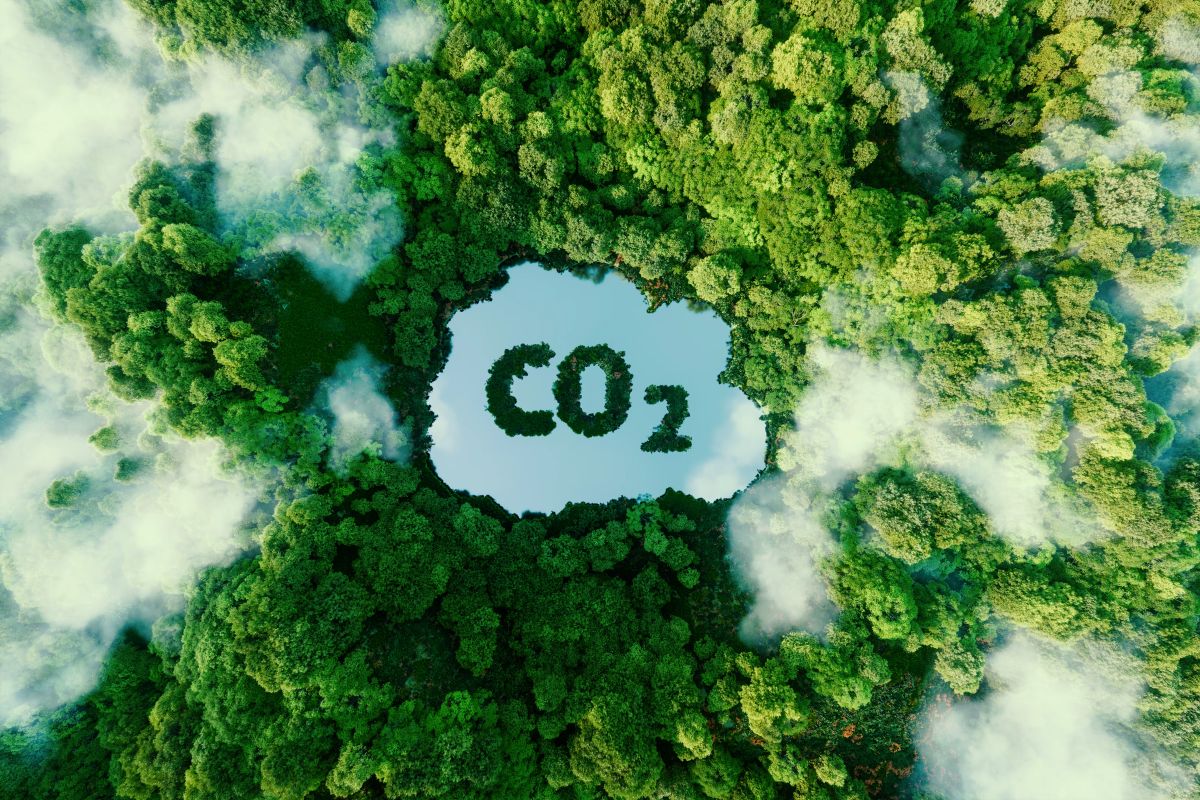 AFF CO2 Carbon Cheat Sheet