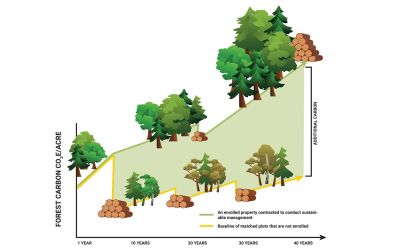 An enrolled property can sequester and store more carbon by supporting healthier forests.