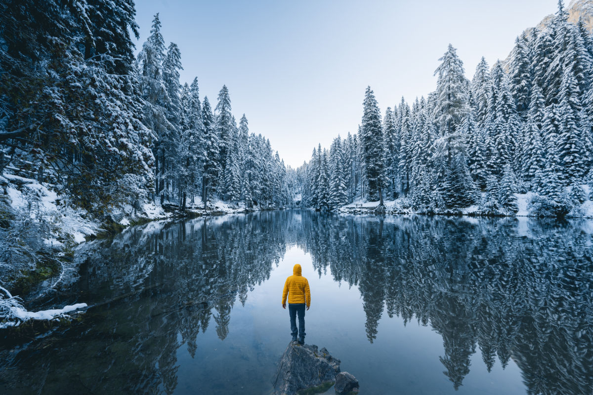 Person and Snowy Forest