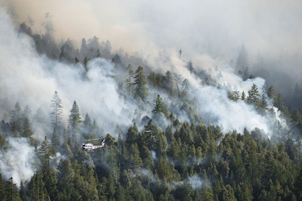 Western Wildfire-Shutterstock