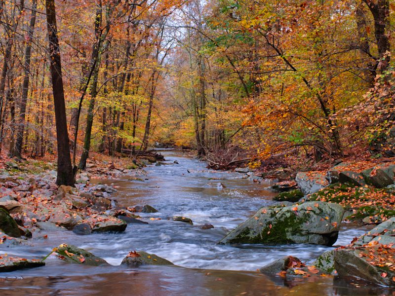 Maryland Department of Environment Approves $2.5 Million for Natural ...