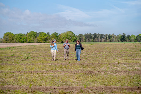 AFF ARR Forester Walking the Land