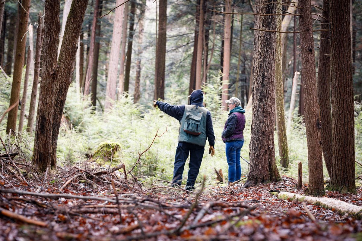 Susan Benedict (Landowner, PA) and forester in woods