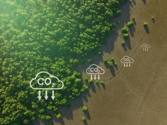 Aerial view of green forests showing carbon capture concept of a natural carbon sinks.