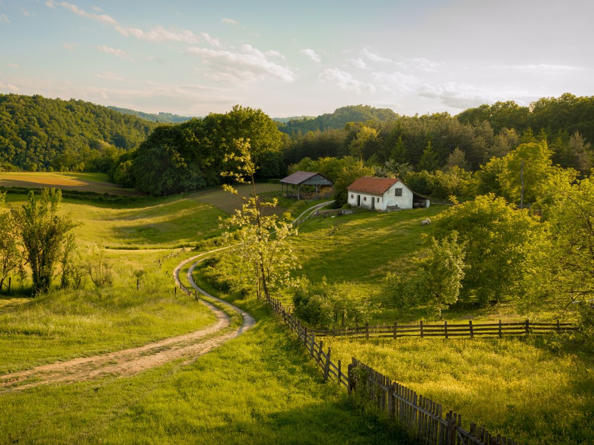 Beautiful summer landscape at sunset. A dirt road leads to a small home on the top of a hill.