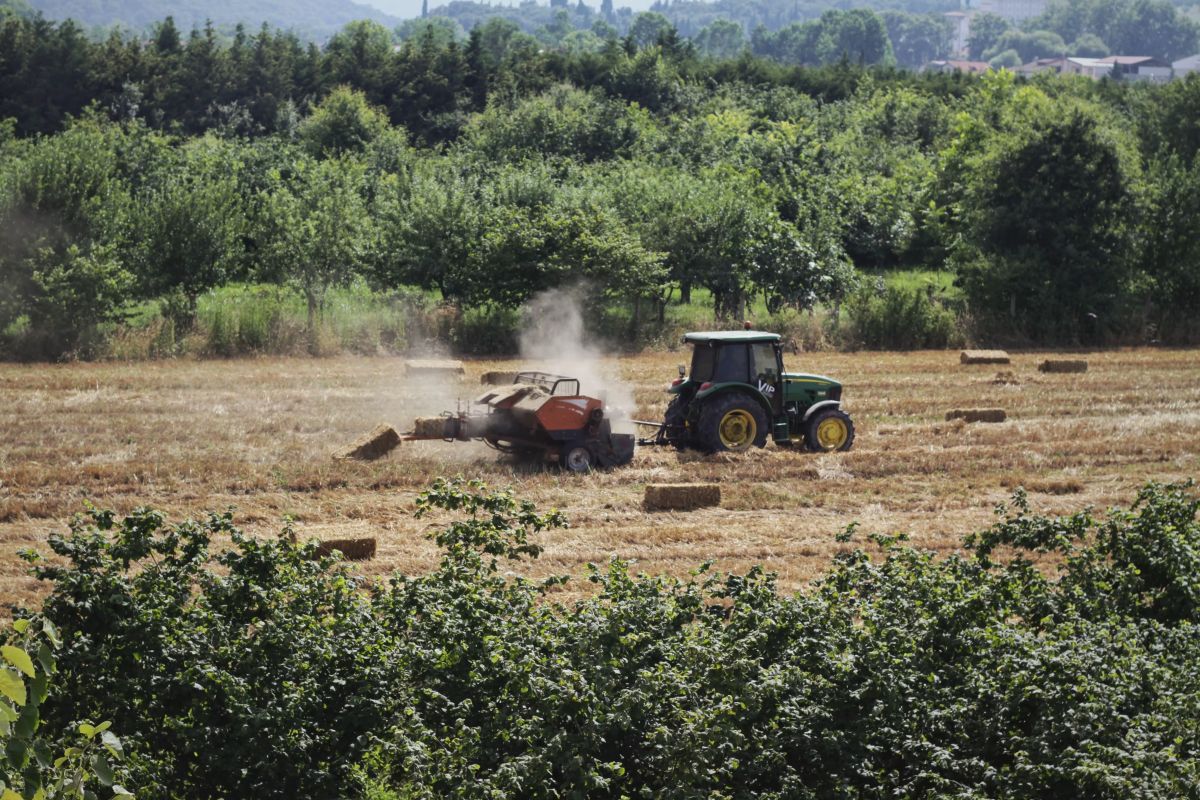 Tractor and Forest