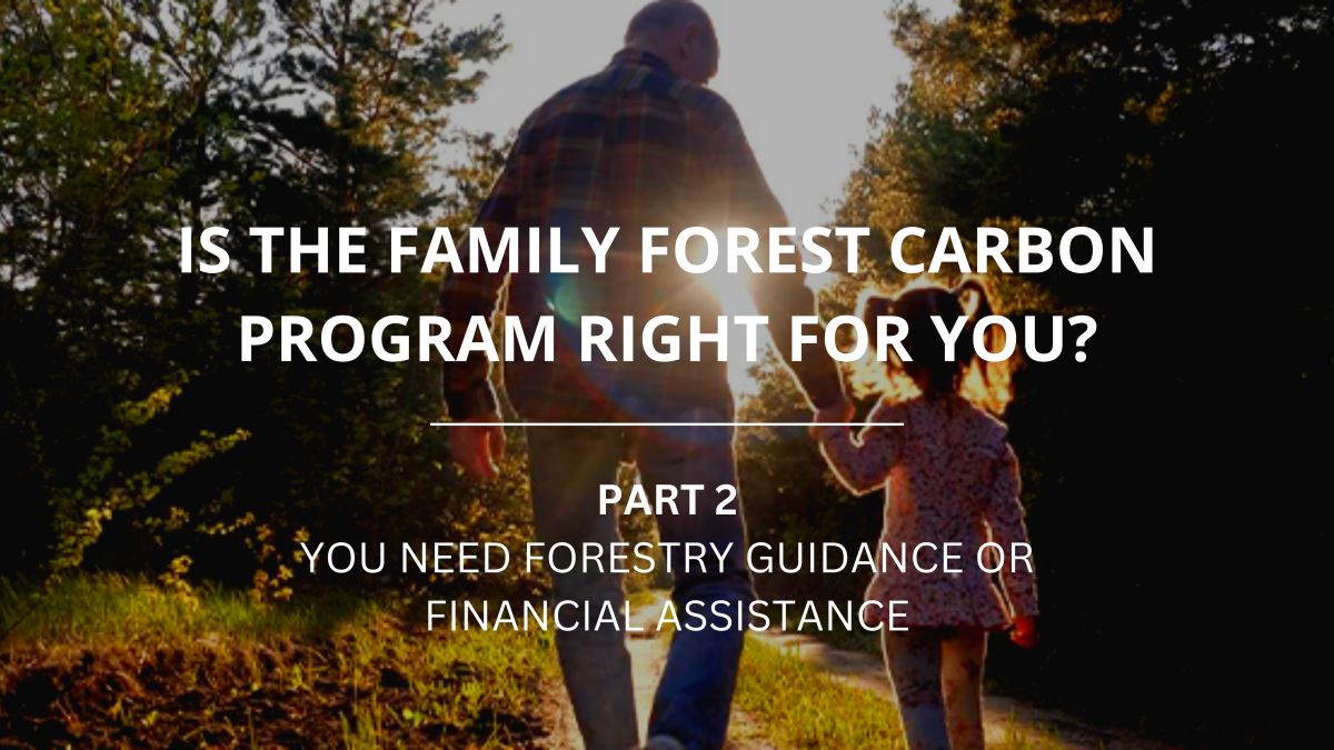 Family-Forest-Carbon-Program-2