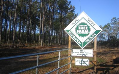 Tree Farm sign from the property of Jon and Carol Gould (FL).