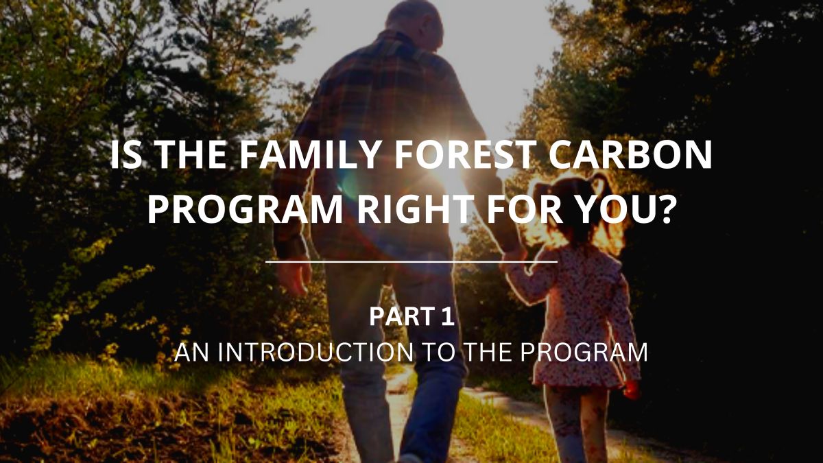Family-Forest-Carbon-Program-1