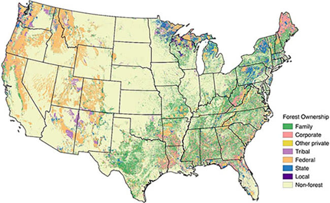 Distribution of forest ownership in U.S.