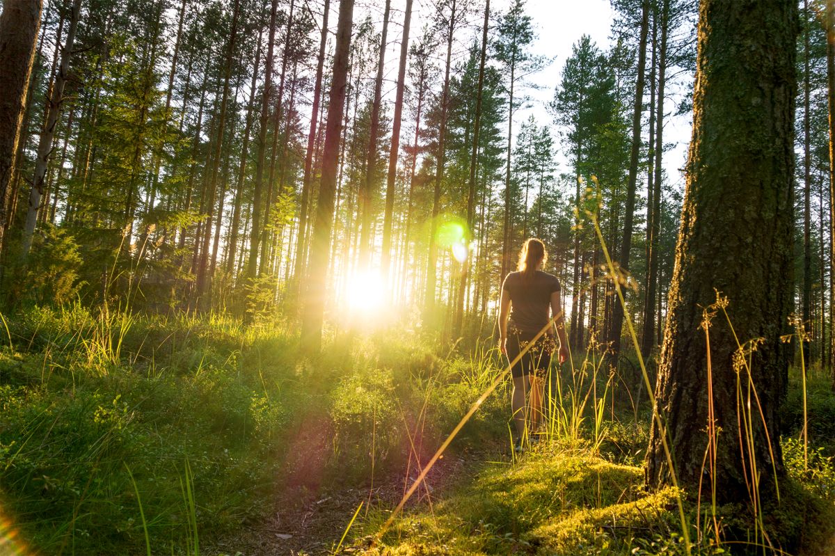 Woman walking in forest with sun shining through trees