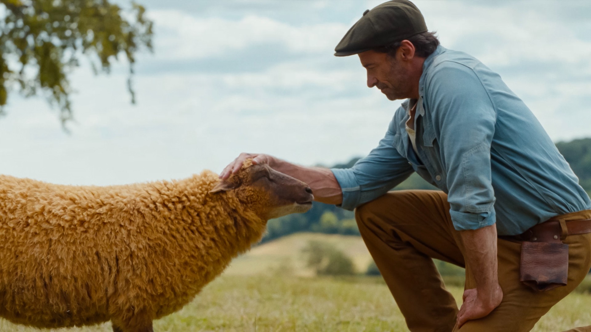 The Sheep Detectives
