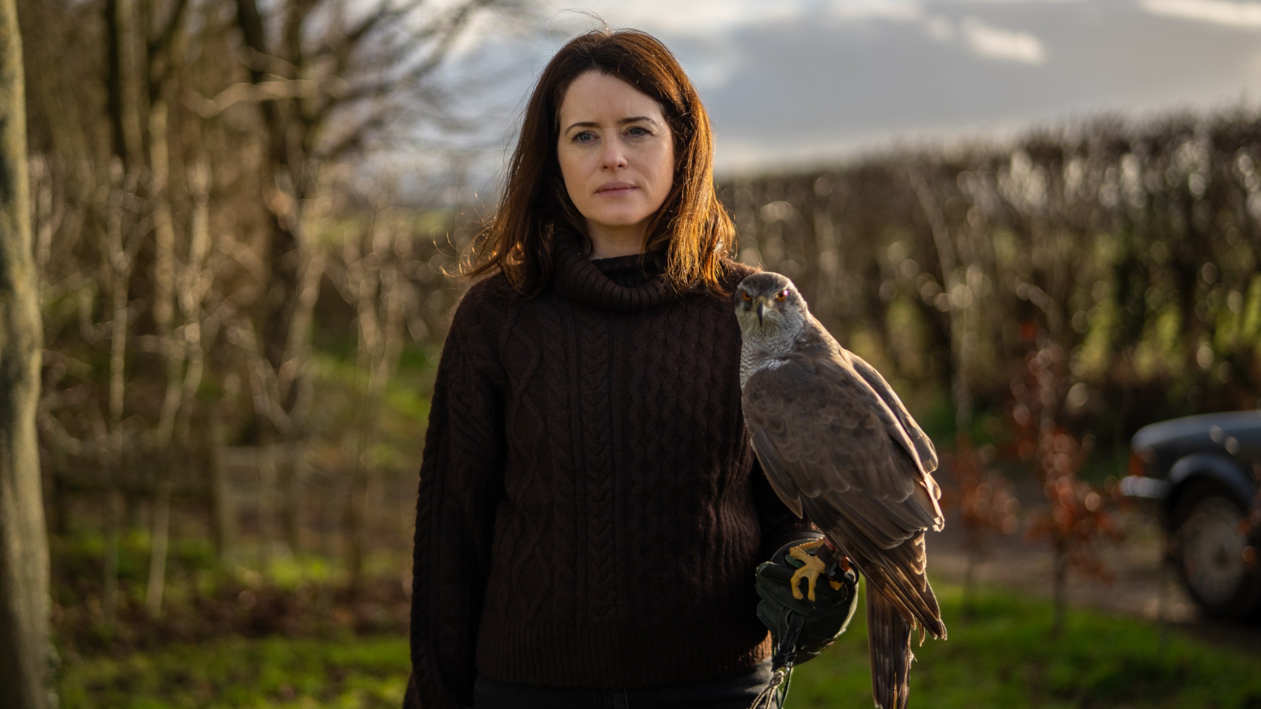 H Is for Hawk