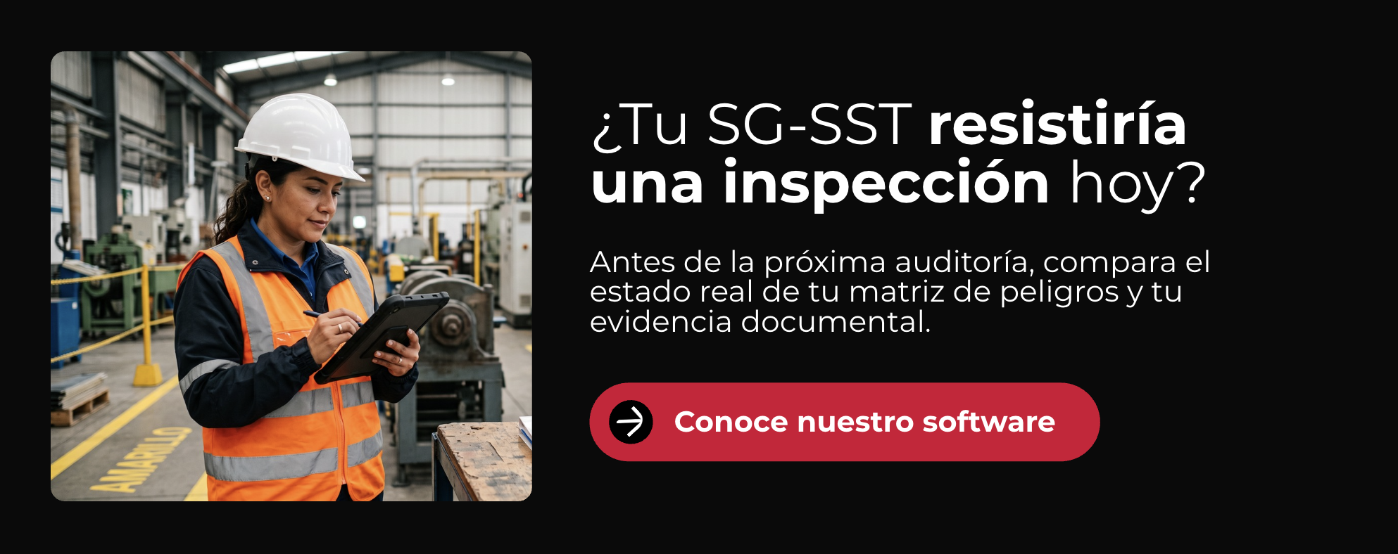 sst-banner-inspeccion